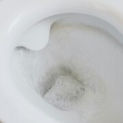 toilet not flushing