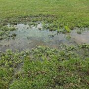 signs your sewer line is broken