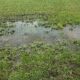signs your sewer line is broken