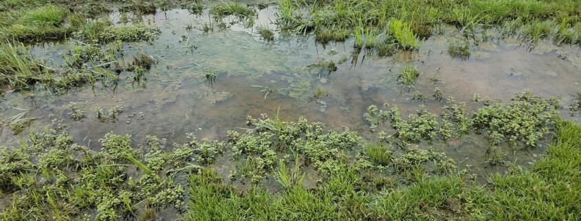 signs your sewer line is broken